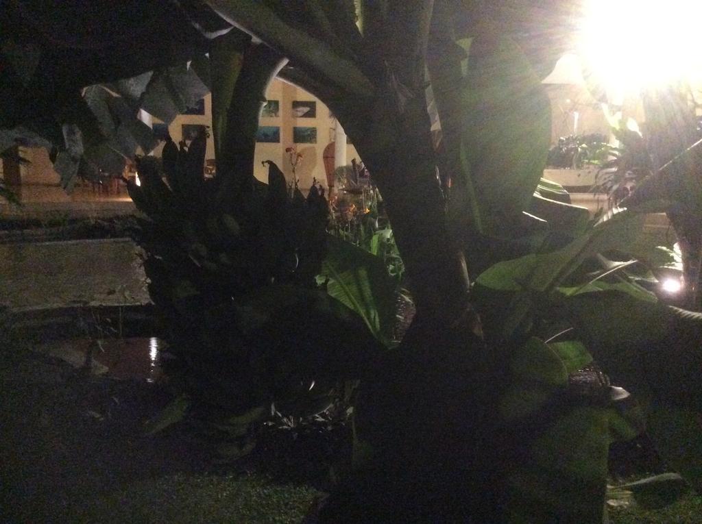 Villa Costa Plenty Sanur  Luaran gambar